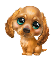 a cute cocker spaniel puppy